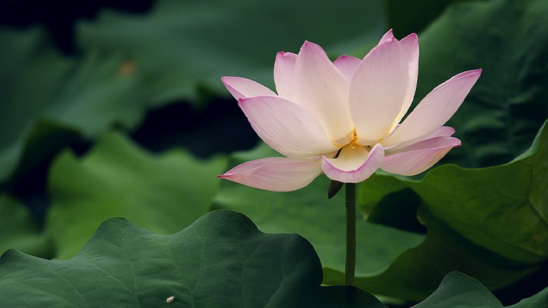 那就，，，，，「夏」次再见啦